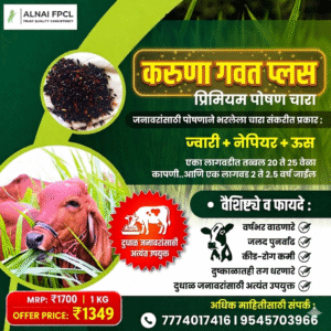 करुणा गवत 1 किलो