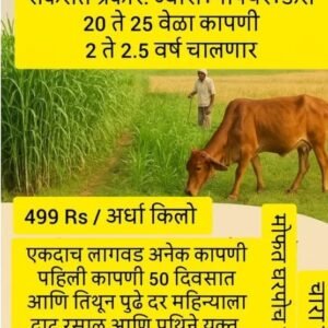 करुणा गवत 1 किलो